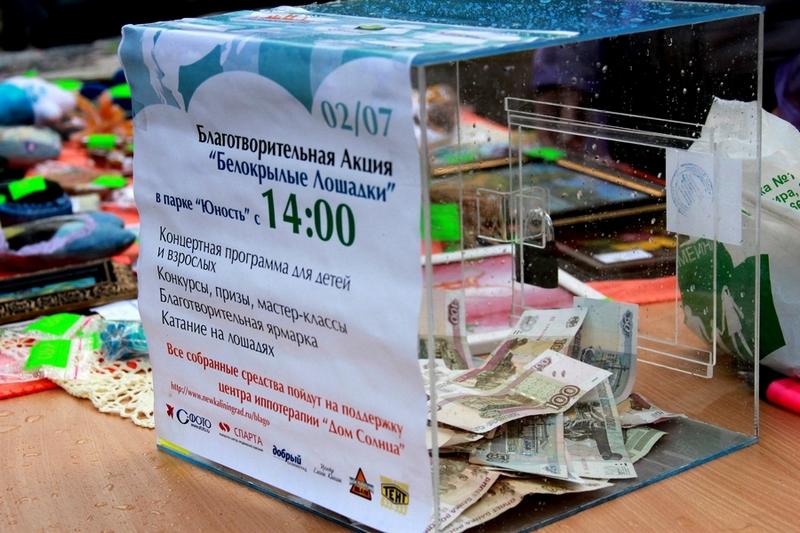 "Облака-лошадки": акция "Нового Калининграда.Ru"