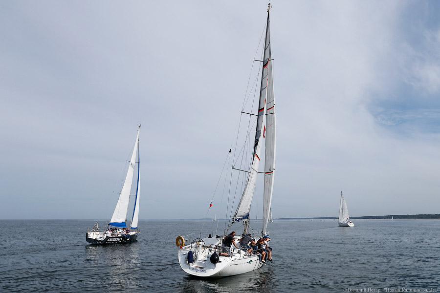 В поисках ветра и буев: как прошла офшорная парусная регата в Балтийске