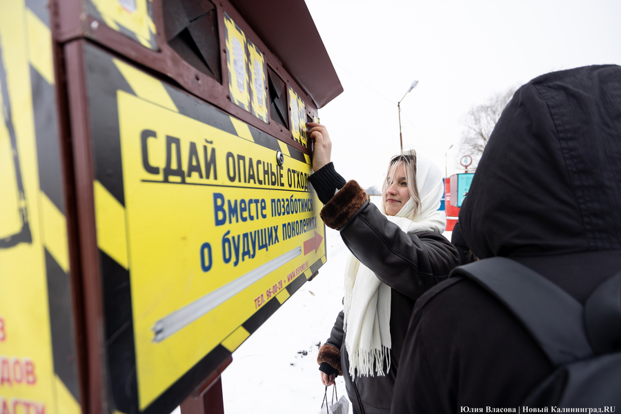 «Ничего на свалку не уйдет»: в Калининграде стали раздельно собирать 14 видов отходов (фото)