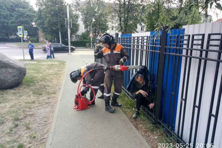 Калининградские спасатели освободили бездомного, застрявшего в стальном заборе (фото)