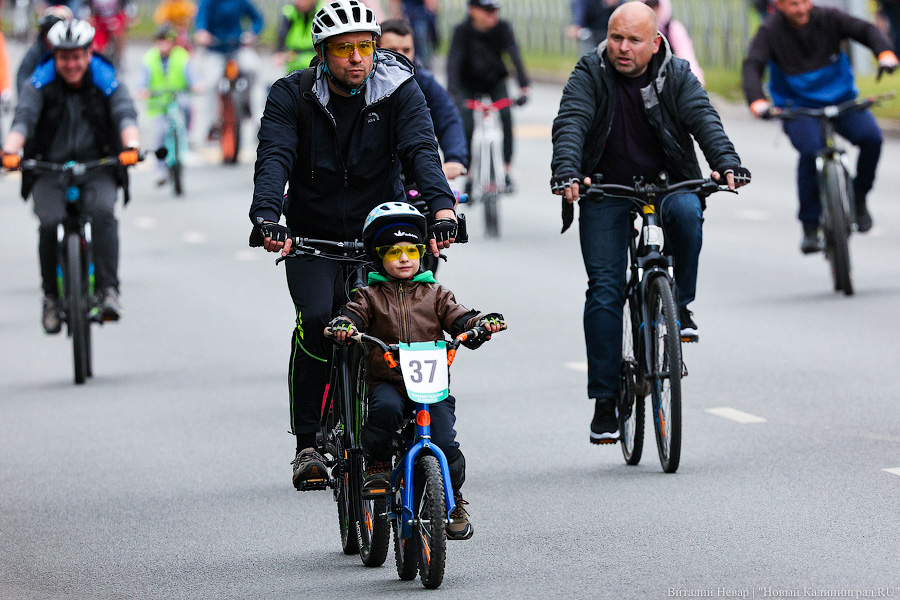 Лыжи, велики, унициклы: как прошёл велопарад в Калининграде (фото)