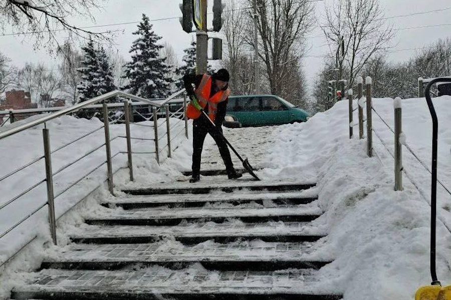 Дятлова: в снегопады на уборку калининградских улиц привлекали осужденных (дополнено)