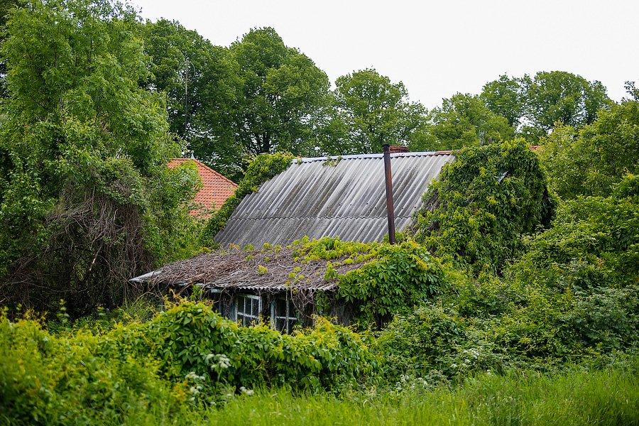 Туристический промысел: блеск и нищета Янтарного