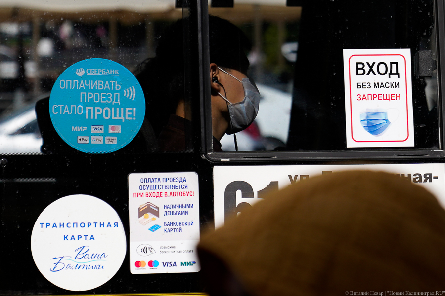 Облвласти объяснили, почему сделали проезд дешевле для обладателей «Волны Балтики»