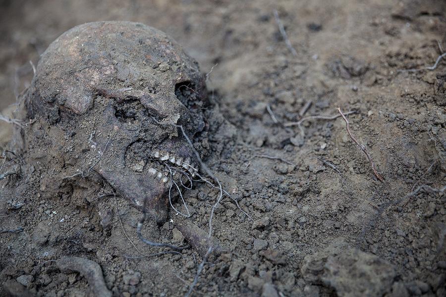 По следам мародёров: в Багратионовском районе поисковики перезахоранивают советских солдат