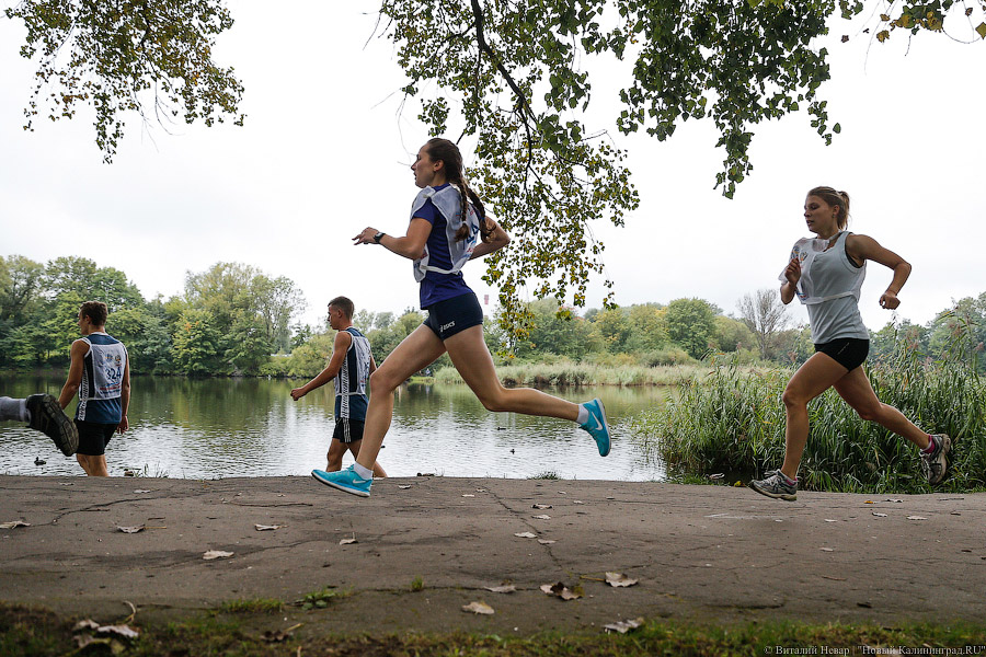 Все бежали, и я побежал: как прошел «Кросс наций» в Калининграде (фото)