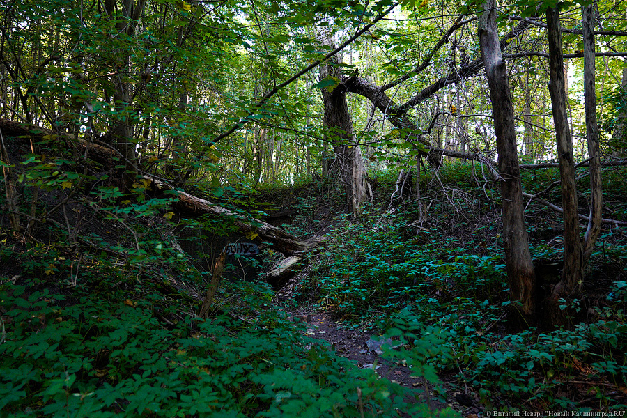 Арендатор форта №8: мы оставим его разрушенным (фото)