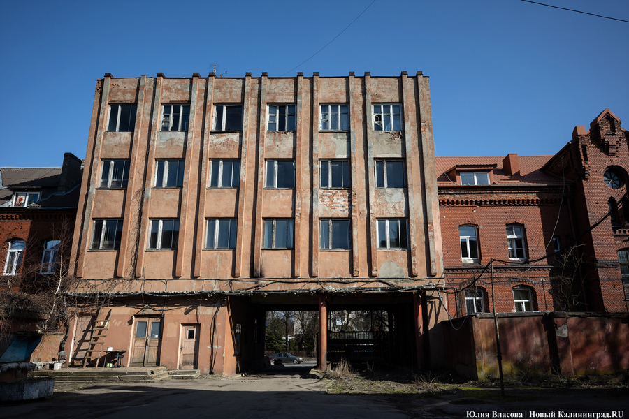 След Розенау: как выглядит заброшенный мясокомбинат на Аллее Смелых (фото)