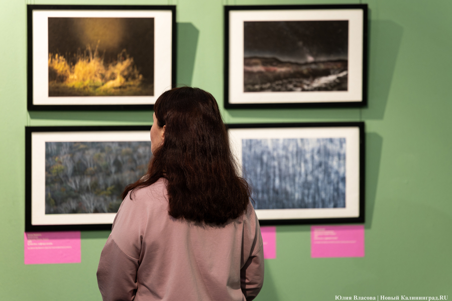 Япония рядом: в Музее изобразительных искусств открылись Дни Эрмитажа (фото)