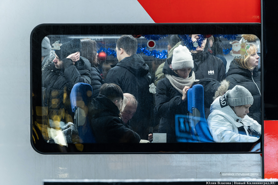 Железнодорожники обеспокоены ростом случаев выхода калининградцев на пути 