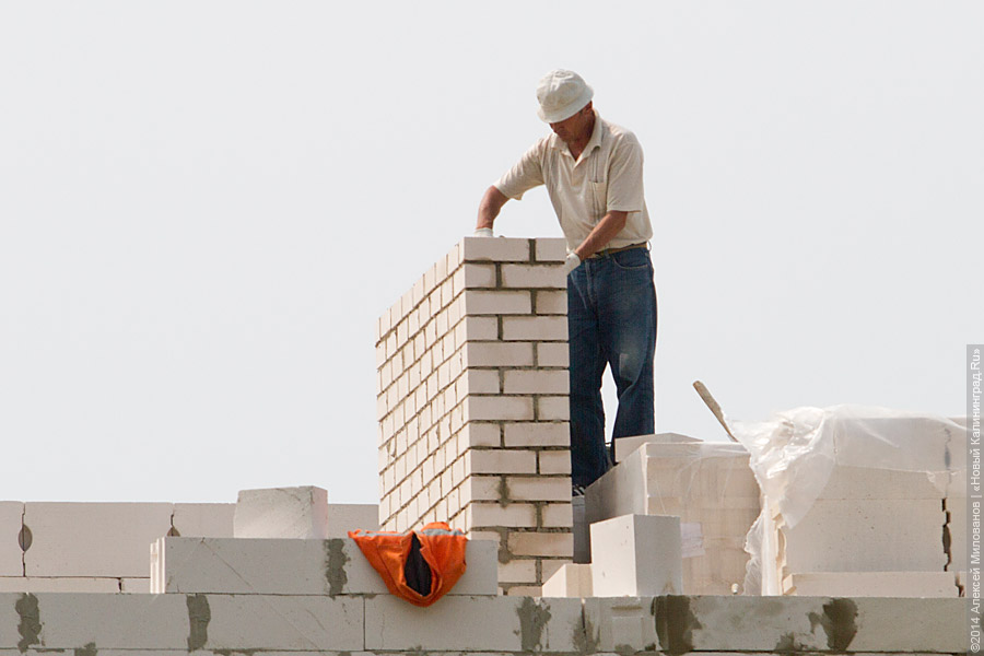 Фото — Алексей Милованов, «Новый Калининград.Ru»