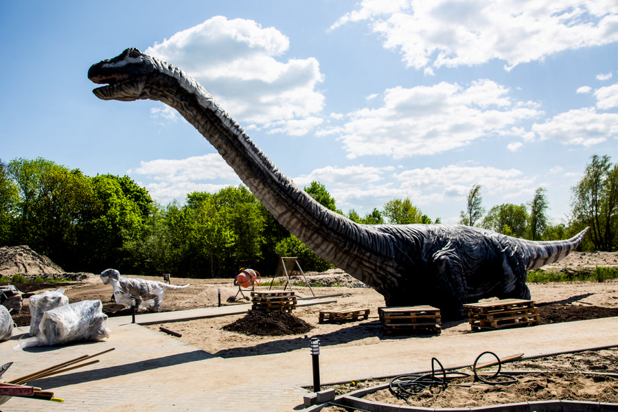 Янтарный комбинат планирует открыть динопарк в июле (фото) (видео)