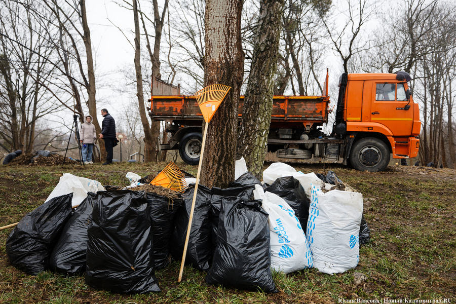«Коммунальный Новый год»: как в Калининграде прошёл общегородской субботник