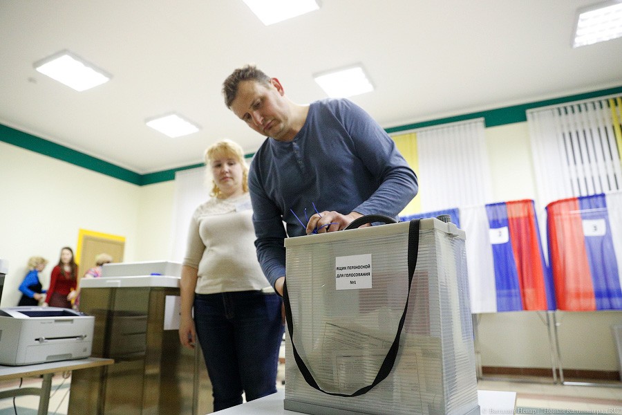 Легитимизируя данность: как в Калининграде проходил подсчет голосов (фото)