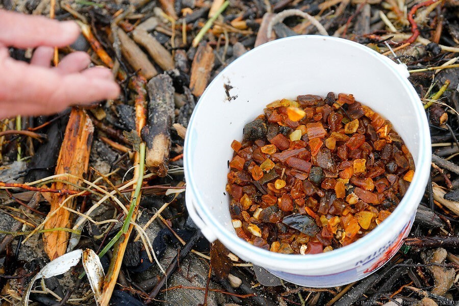 Майора, обвиняемого в крышевании янтарщика, перевели под домашний арест