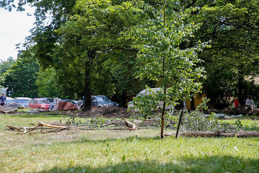 Калининградское чудо: застройщик гостиницы не вырубает, а благоустраивает 2 сквера (фото)