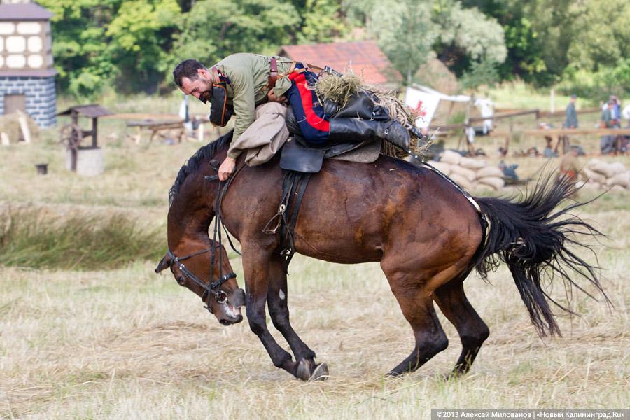 Казаки и броневики: реконструкция сражения Первой мировой войны под Гусевом