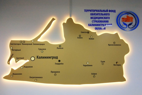 Много или мало: ТФОМС Калининградской области отчитался об исполнении бюджета