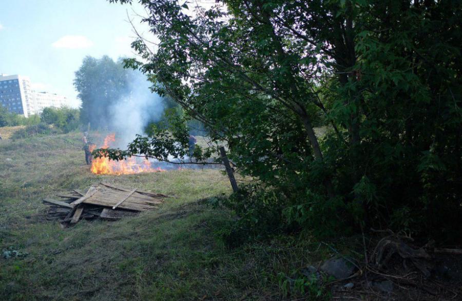 Очевидец: территорию у Дома Советов очищают с помощью пала травы (фото)