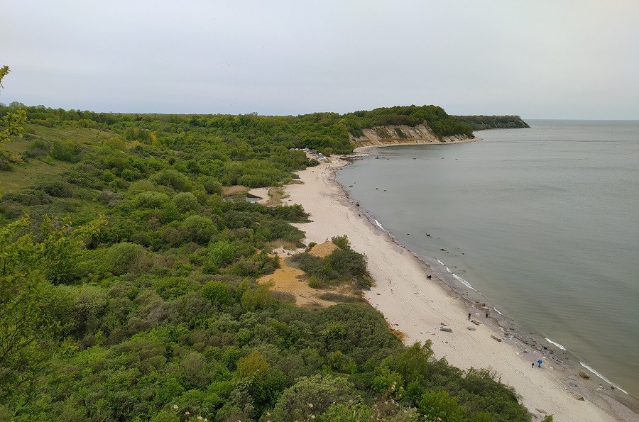 Алиханов постановил вдвое сократить территорию природного заказника «Филино»