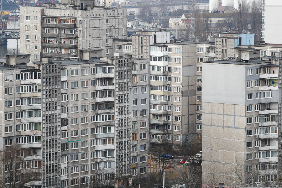 Фото: Виталий Невар / Новый Калининград 