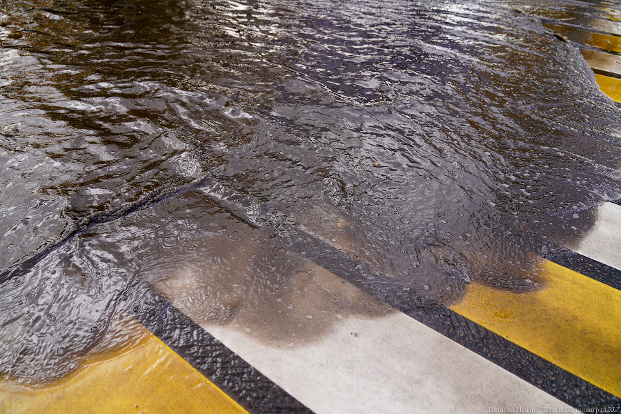 Другой берег улицы: Калининград затопило после шторма (да, опять)