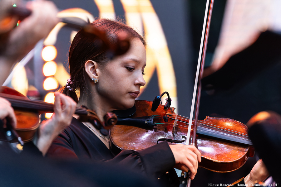 «Территория мира — Территория музыки»: как проходит open-air классической музыки
