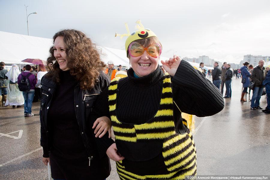 «Процветает всё кругом»: трёхлетие губернатора отметили муниципальным фестивалем (фото)