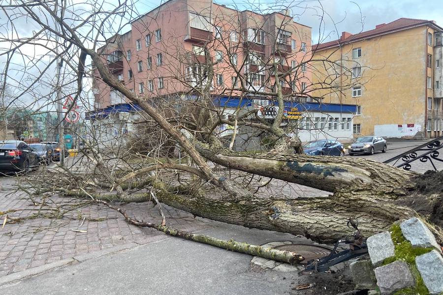 Шторм в калининграде сегодня. Штормы в калининградской области октябрь 2022. Шторм в куликово калининградской области. Калининград зеленоградск шторм. Шторм в калининграде сегодня.