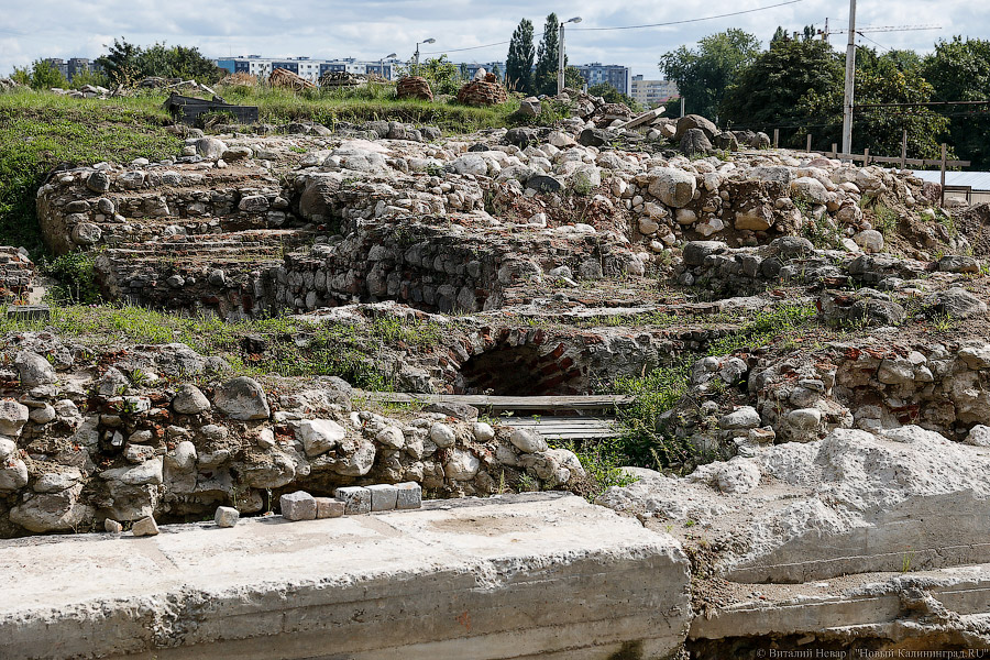 Руины Королевского замка признаны выявленным объектом археологического наследия 