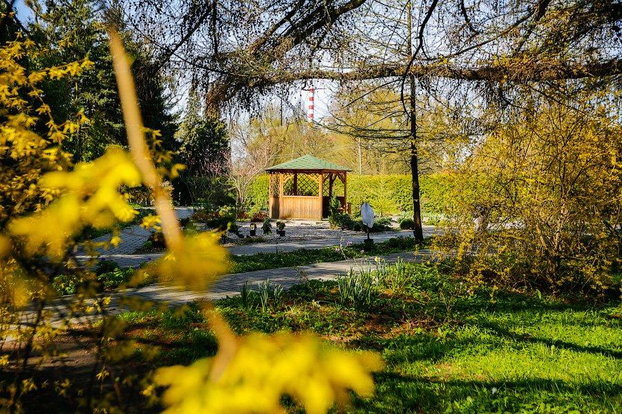 Пастораль ручной работы: весенний Ботанический сад