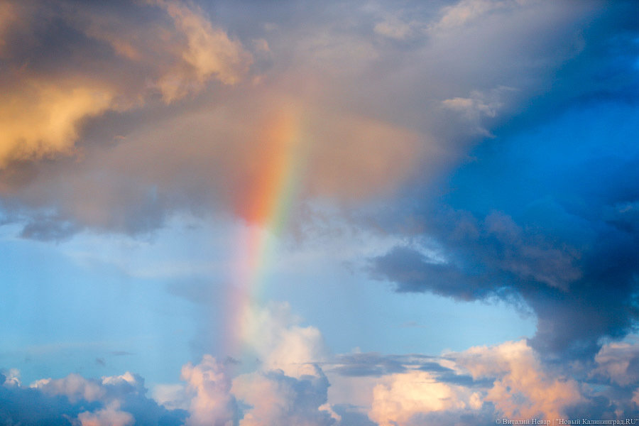 Калининградцам обещают выходные без осадков