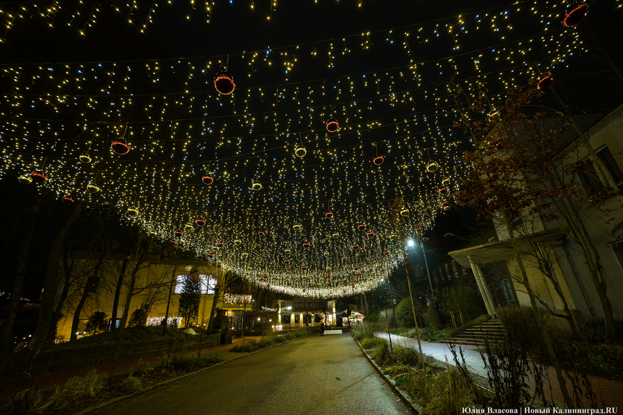 30 километров гирлянд: как украсили к Новому году Светлогорск (фото)