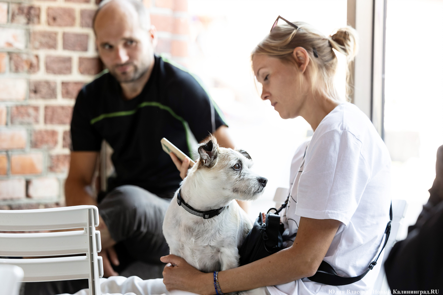 «Цветы против пивных бутылок»: как прошел фестиваль «Хранителей руин» (фото)
