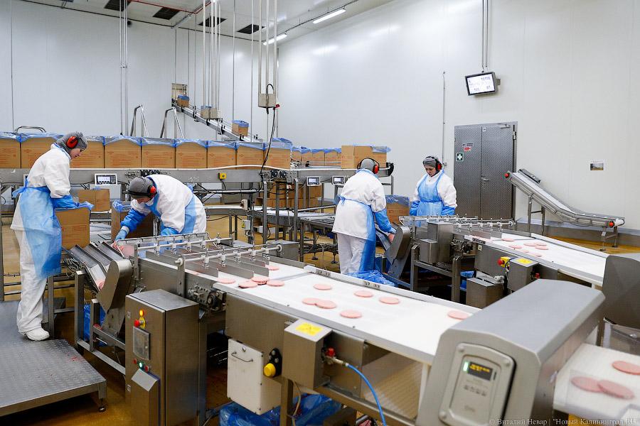 Галопом по котлетам: главе Минсельхоза РФ показали два завода в Калининграде