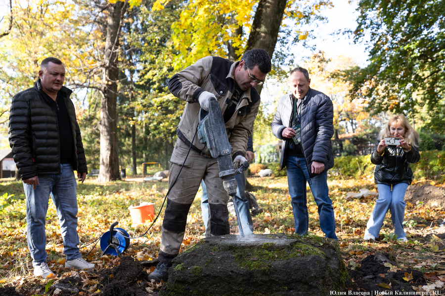Эхо прошлого: в Калининградском зоопарке извлекли 94-летнюю «капсулу времени» (фото)