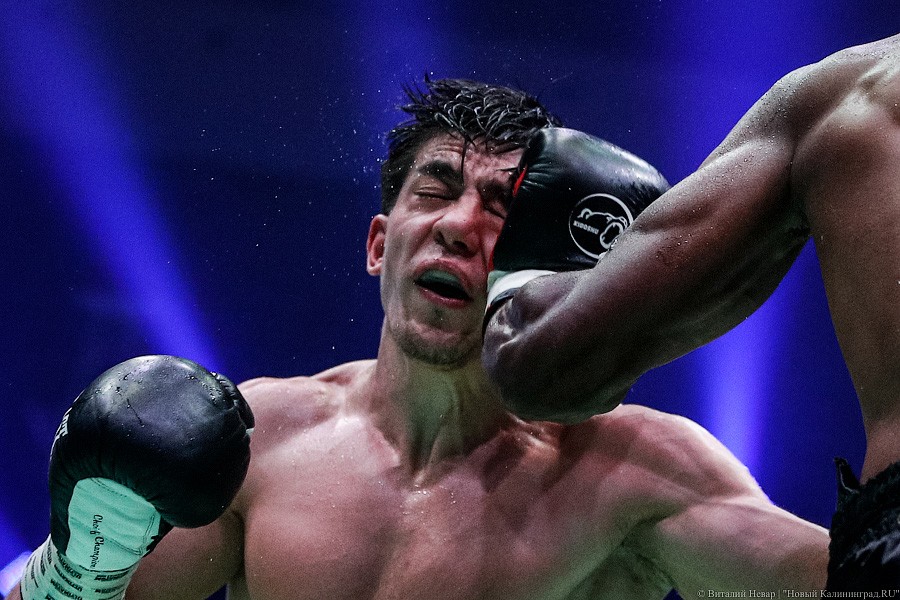 Раздельным решением судей: Чухаджян взял титул WBA International в Калининграде