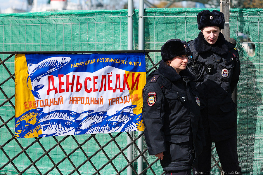 Рыжая заря и бульбачка: День селёдки вернулся в Калининград (фото)