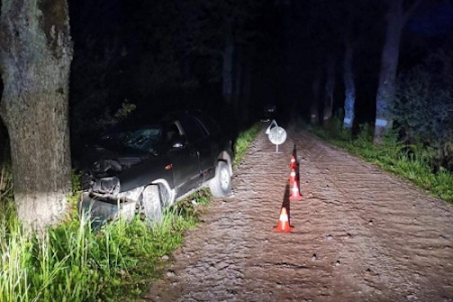 Под Славском Hyundai врезался в дерево, пострадал водитель (фото)