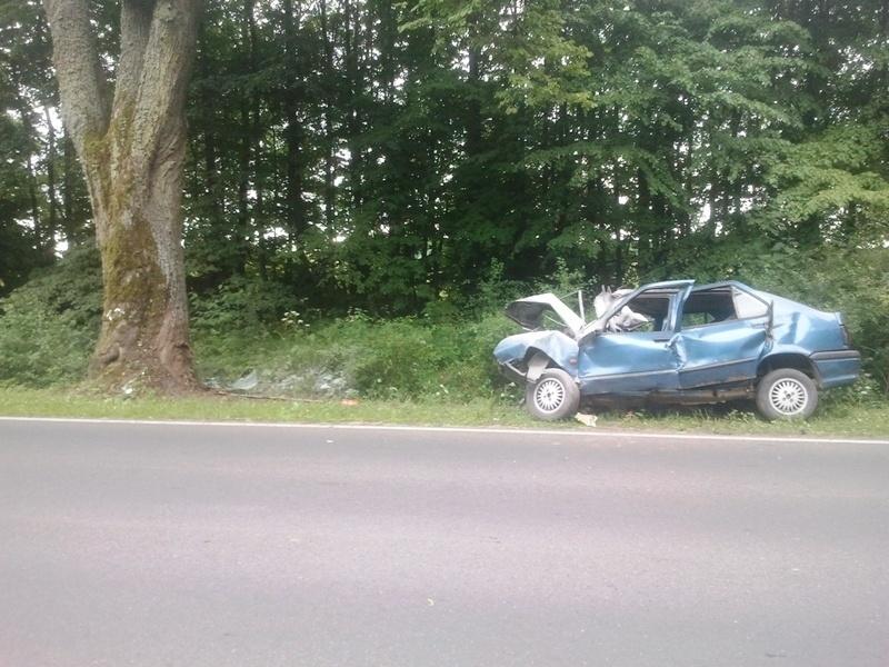 Под Мамоново «Рено» врезался в дерево, пострадал 23-летний водитель (фото)