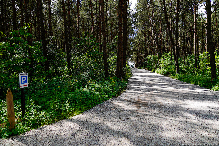 «Не врите мне»: фекалии в воде не портят отдых калининградским купальщикам (фото)
