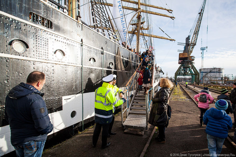 Дадим по струнам: Борислав Струлёв выступил на борту барка «Крузенштерн»