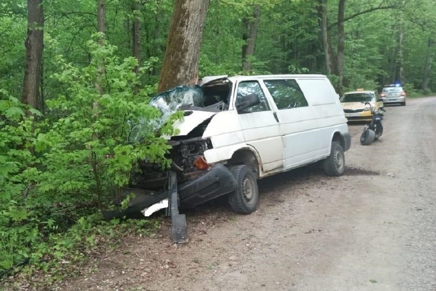 В Гвардейском районе пьяный водитель «Фольксвагена» врезался в дерево (фото)