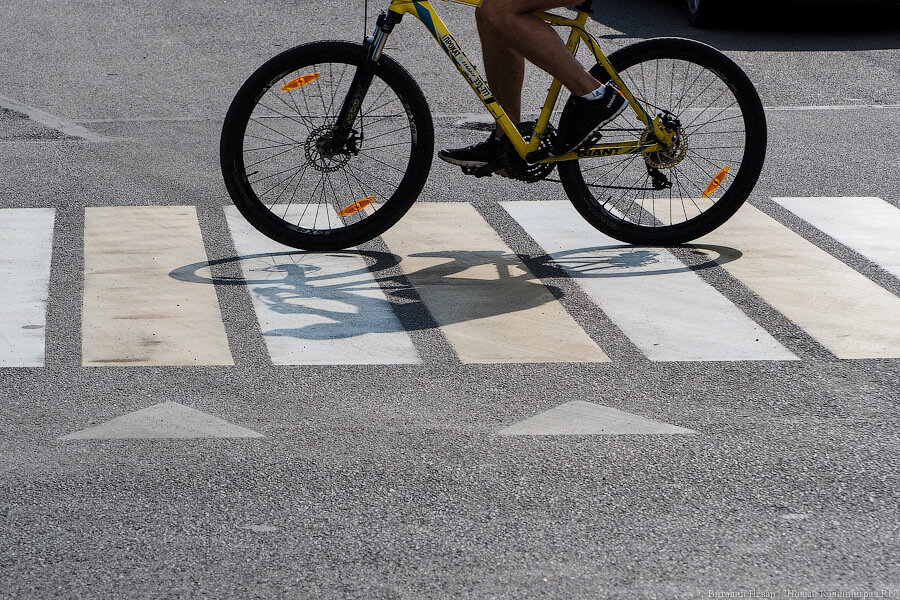 Власти Балтийска собрались создать на Балткосе вело-байдарочный маршрут