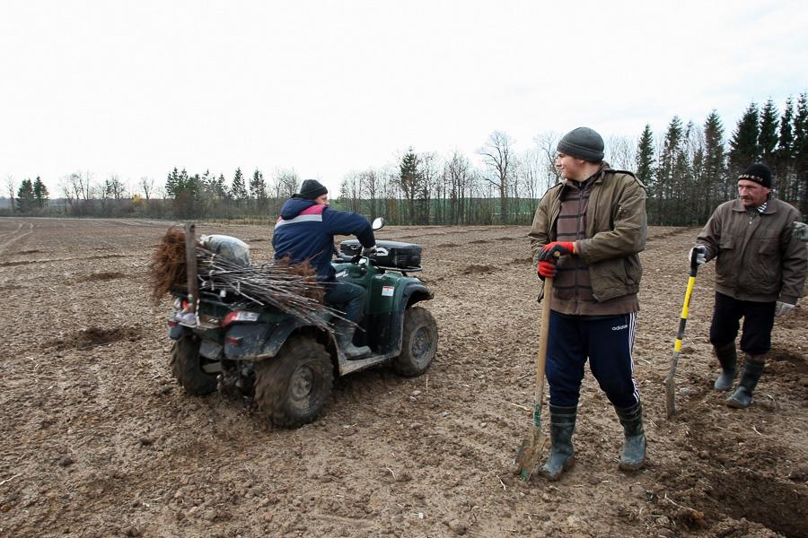 «Все в сад!»: в Черняховском районе заложен первый промышленный сад