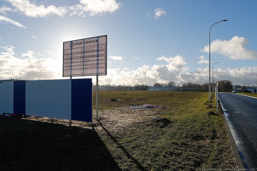 Фото — Виталий Невар, «Новый Калининград»