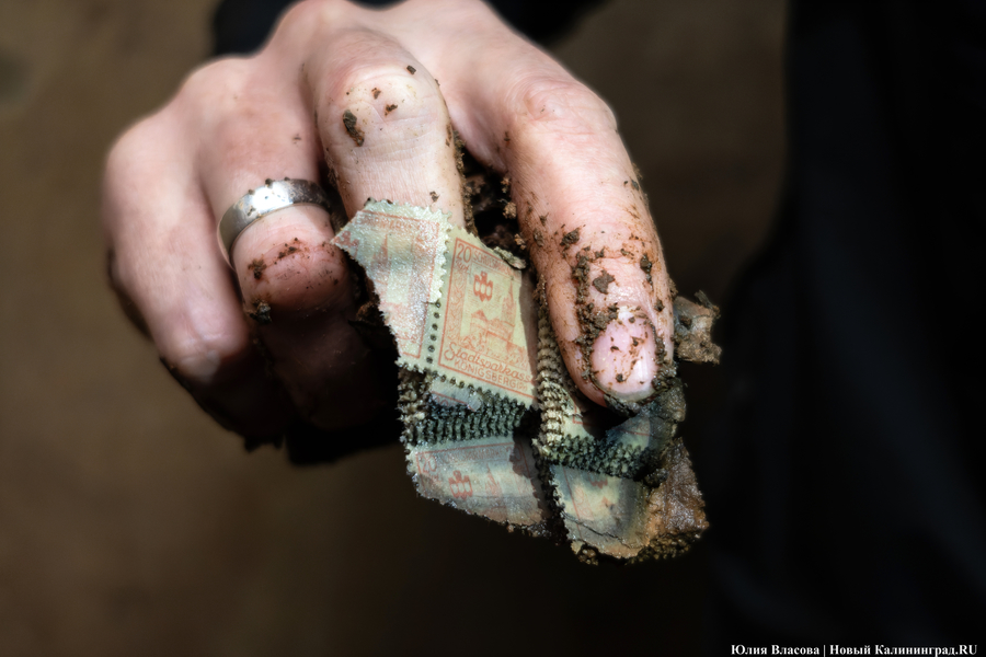 Настоящие подземелья Кёнигсберга: что находится в открывшемся провале на острове Канта (фото)