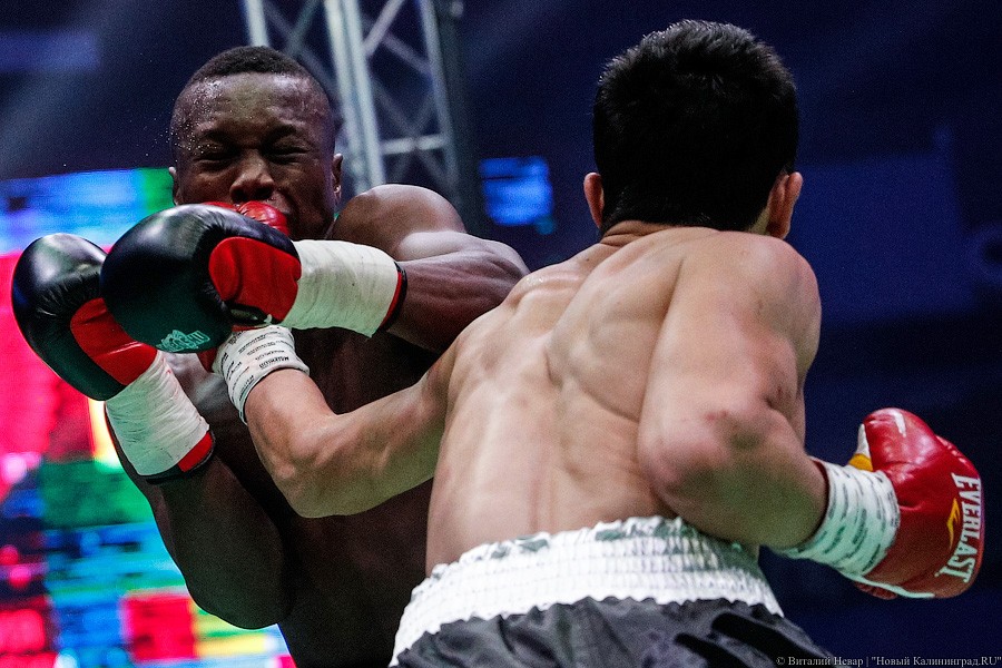 Раздельным решением судей: Чухаджян взял титул WBA International в Калининграде