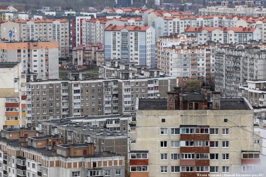В Калининграде собираются выбрать нового председателя Союза архитекторов