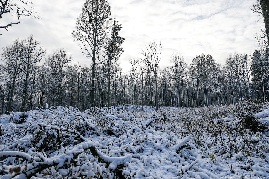 «Дача Геринга» и виштынецкий мораторий: как Алиханов осваивал восток области